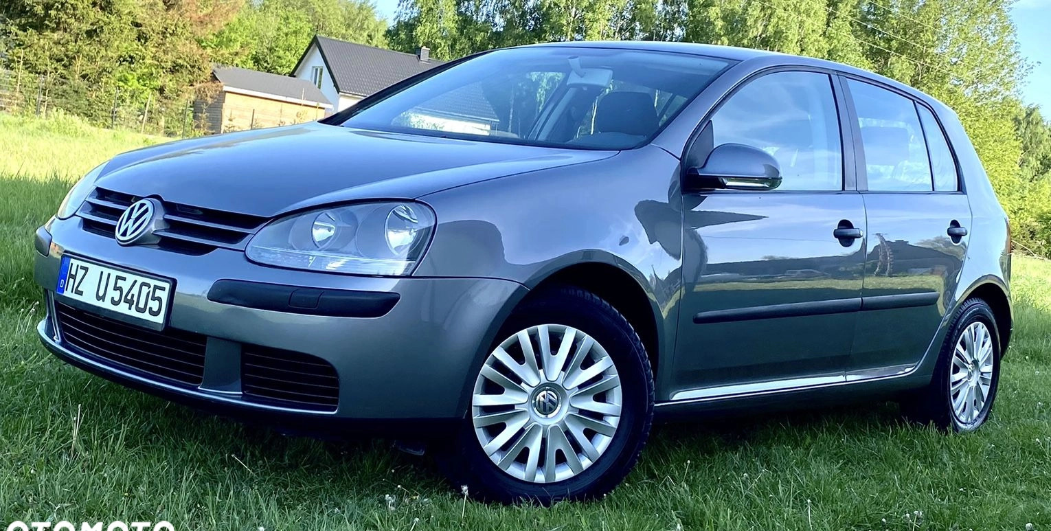 Volkswagen Golf cena 12600 przebieg: 193000, rok produkcji 2004 z Gostynin małe 562